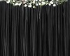 Black Curtains