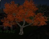 [GT]Vila Autumn Tree