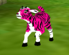 Tiger Goat Hot Pink
