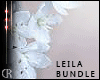[RC]LEILA BUNDLE