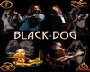 Zepplin Black Dog Dub
