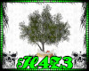 *H4*TreeHanmmockwPoses