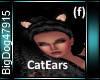 [BD]CatEars(f)