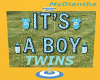 Babyshower Banner Twins