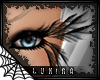 [*L] Lashes | wings