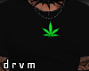 ☠ WEED Shirt green