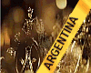 MGI ARGENTINA SASH