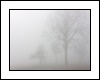 Nevoa/Fog