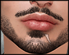s. Beard Asteri Gh I