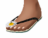 Black Daisy Flip Flops