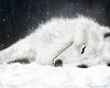 White Wolf sub Pillow