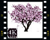 4K Blossom Tree