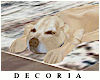 0021 Doggie