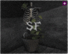 SF Plants Skeleton