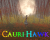 D Autumn Willows
