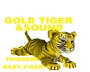 GOLDEN BABY TIGER&SOUND