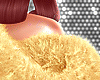 ✩Fur NY Gold