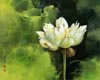 Asian Flower Poster