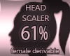 Head Scaler 61%
