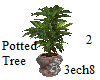 Potted tree - Pllant 2