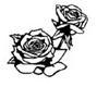 black-white rose 4