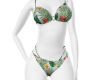 Summer 25 Kini Tropic VM