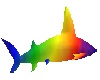 SkYs SharkAttackRainbow