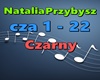 N.Przybysz-Czarny