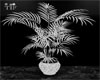 [TIF] Silver plant
