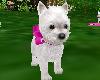 BT Puppy Princess Pet