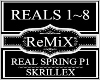 Real Spring P1~Skrillex