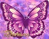 Butterfly Pink 