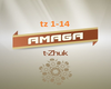Amaga - T- Zhuk