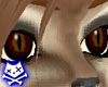 Fennec Fox Eyes (F)