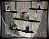 !E! AVENUE SHELVES 2