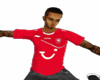 Fc Twente home