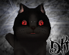 Active Black Demon Cat