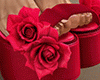 ROSE HEELS