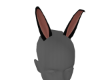 [T] Bunny Ears Anim 1 C