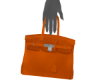 👽 Orange Purse -R