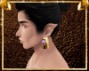 CP Ear~ Vio Stone