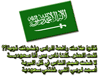 {L} KSA FLAGS Stickers