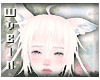 🐁 Mew Kokomi