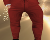 Dark Red Suit Pants
