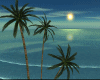 GP*Tropic  Beach Day