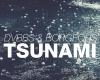 DOORN DVBBSS - Tsunami