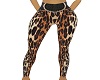  RLL Leopard Pants