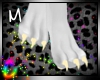 C; Holy Paws 