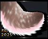 . Adora | Tail