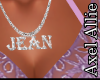AA JEAN NECKLACE